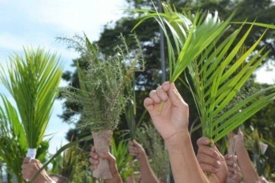 Domingos de Ramos inicia a Semana Santa que se conclui com a festa da Ressurreição de Cristo