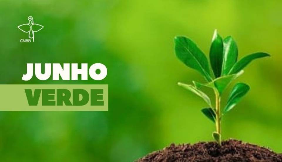 A campanha deverá incluir ações voltadas para divulgação de informações, sensibilização para boa relação com os recursos naturais e promoção de debates sobre temas relacionados a ecologia, por exemplo