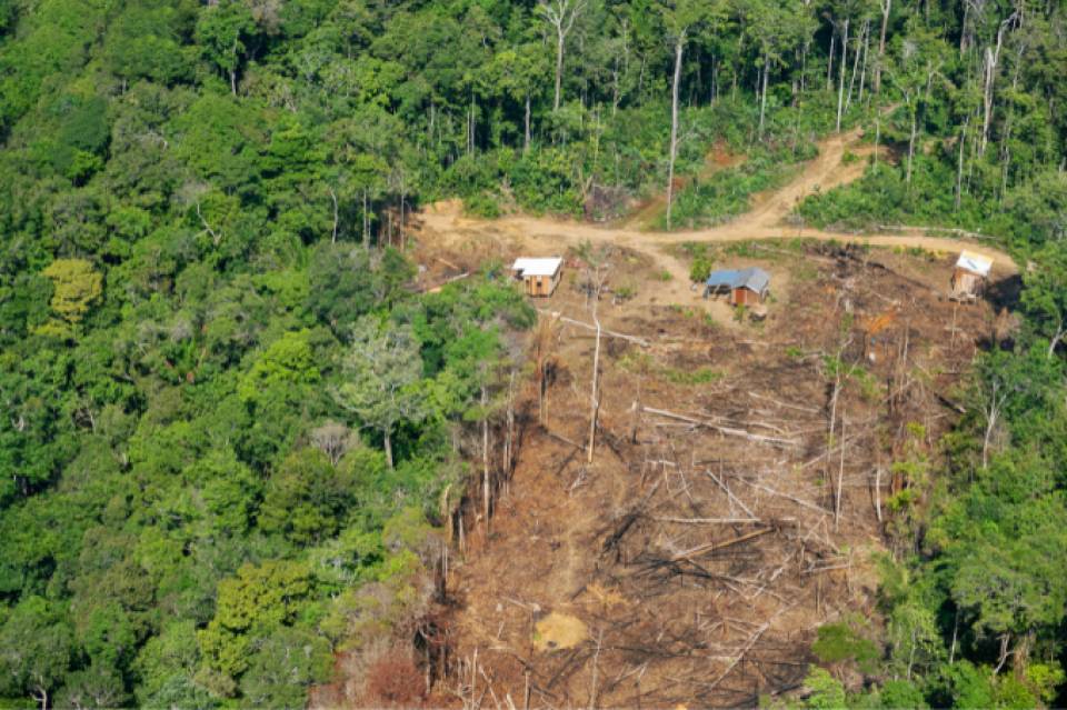 Igreja na Amazônia lança núcleo de direitos humanos e incidência para a região