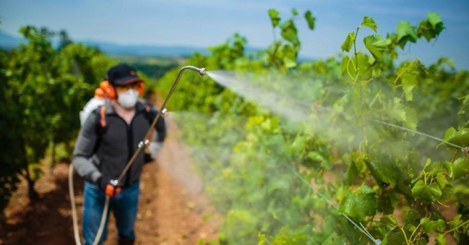 Entre outras medidas, Pacote do Veneno limita a competência legislativa de estados e municípios sobre o tema dos agrotóxicos