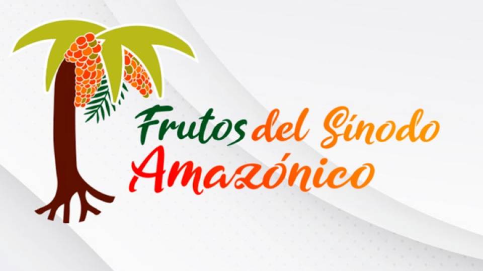 A Conferência Eclesial da Amazônia (CEAMA) é um dos principais frutos do Sínodo Amazônico até o momento